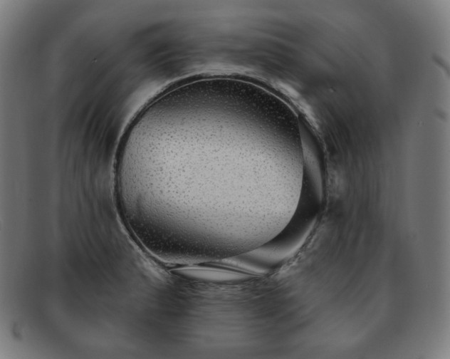 X0000091891183200709121434