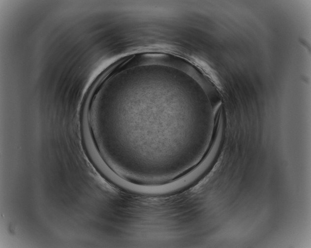 X0000091891184200709121434