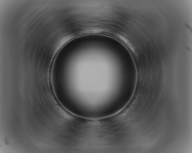 X0000091891186200709121434