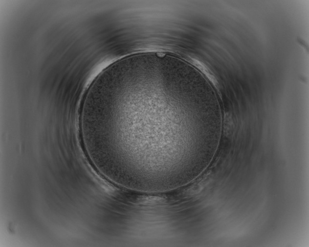X0000091891187200709121434