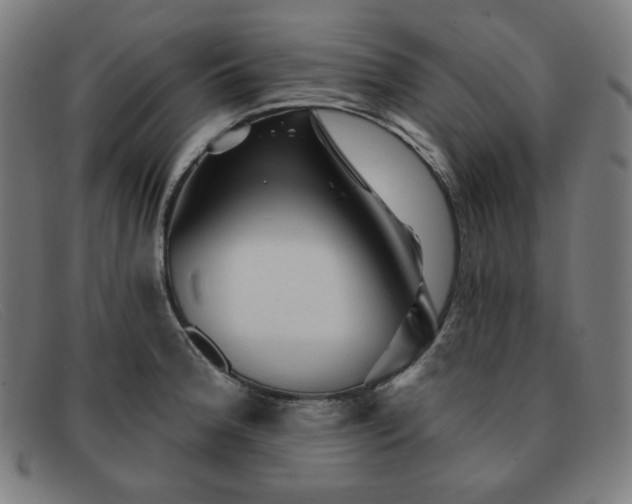 X0000091891188200709121434