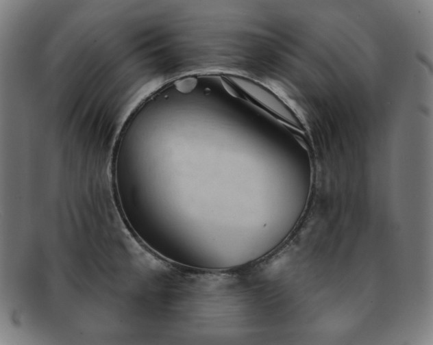 X0000091891189200709121434