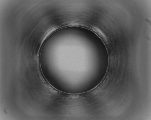 X0000091891190200709121434