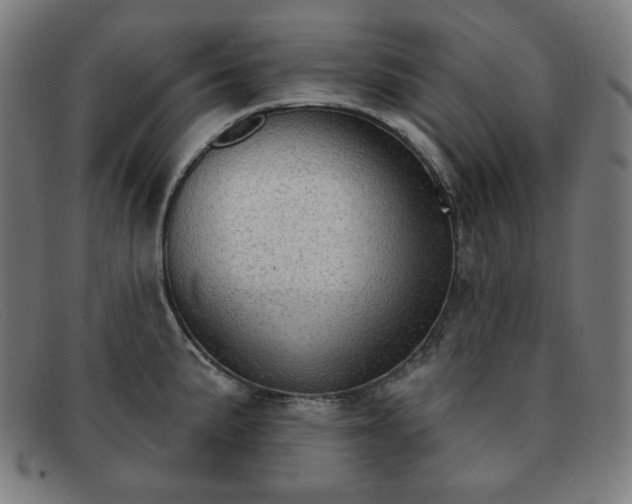 X0000091891191200709121434