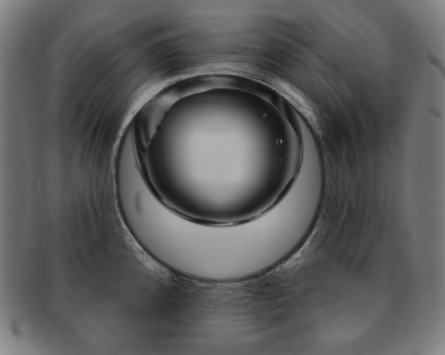 X0000091891192200709121434