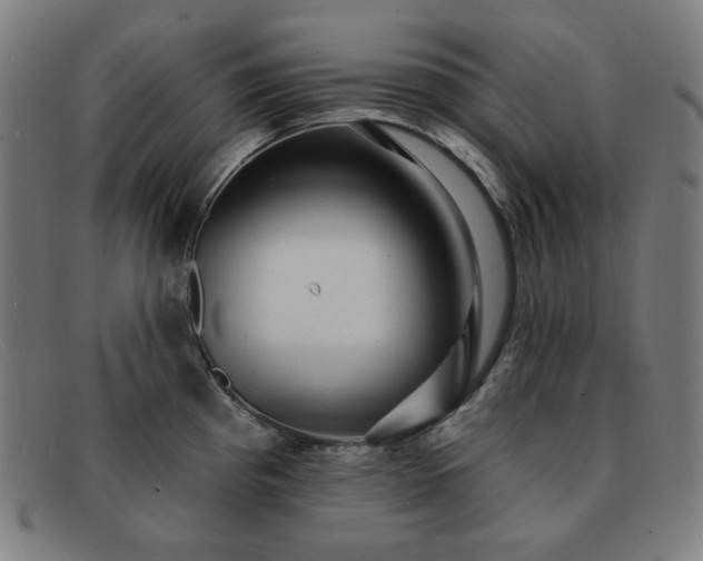 X0000091891193200709121434