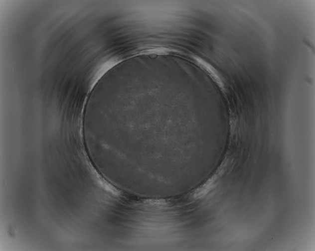 X0000091891194200709121434