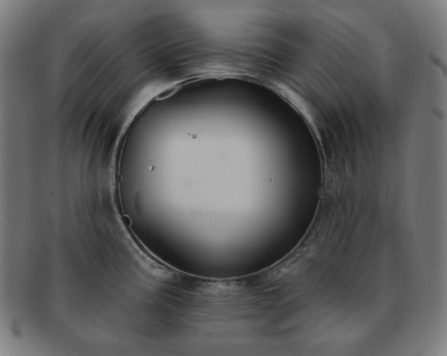X0000091891195200709121434