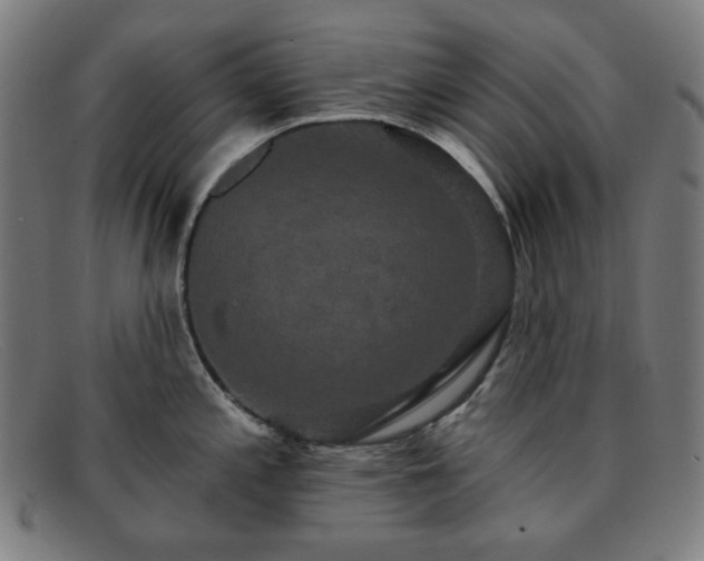 X0000091891197200709121434
