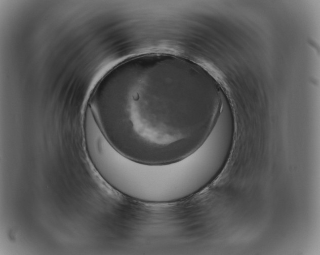 X0000091891200200709121433