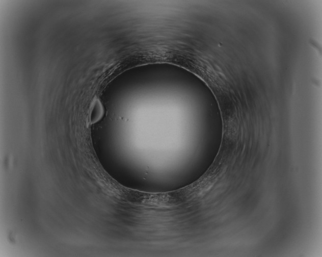 X0000091891201200709121433