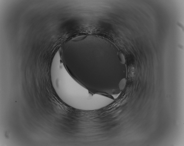 X0000091891202200709121433