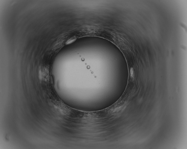 X0000091891203200709121433