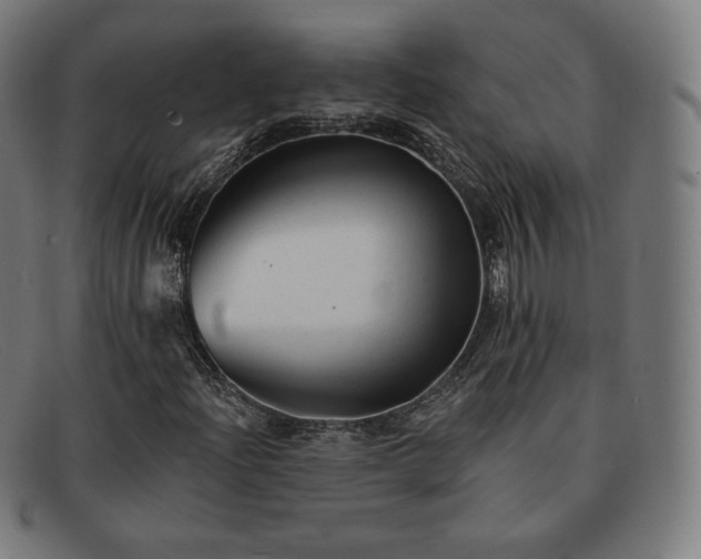 X0000091891204200709121433