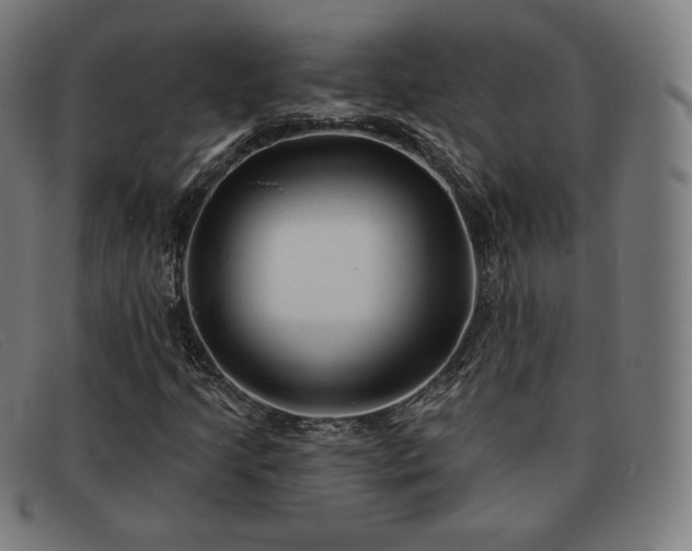 X0000091891205200709121433