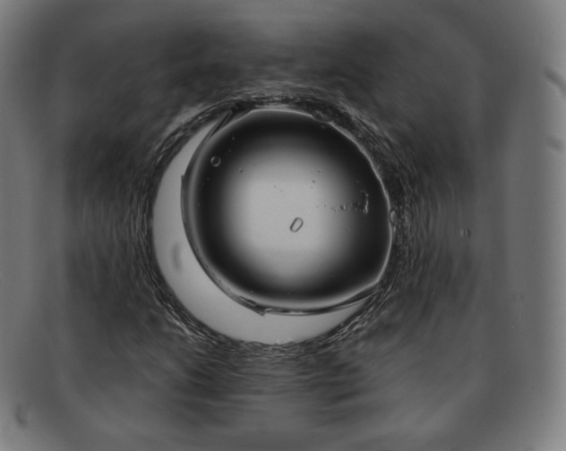 X0000091891206200709121433