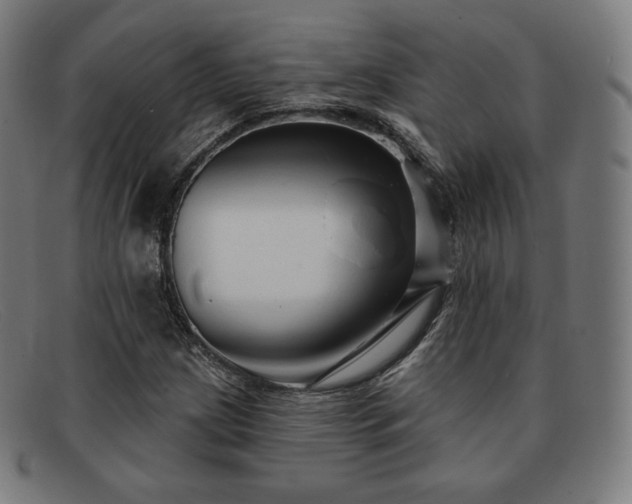 X0000091891209200709121433