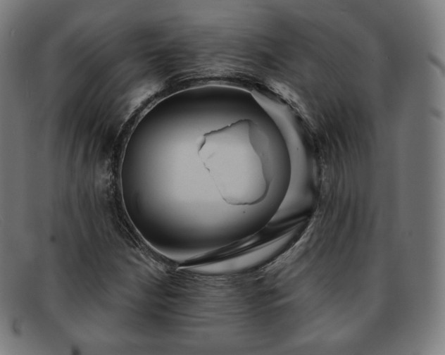 X0000091891210200709121433