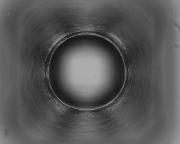 X0000091891212200709121433