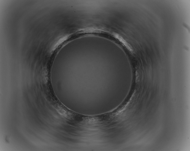 X0000091891213200709121433