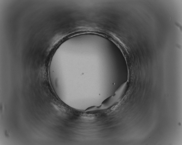 X0000091891215200709121433