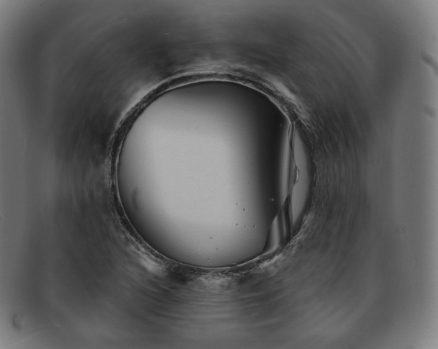 X0000091891216200709121433