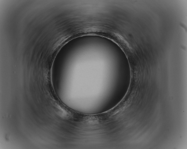 X0000091891217200709121433
