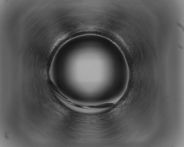 X0000091891218200709121433