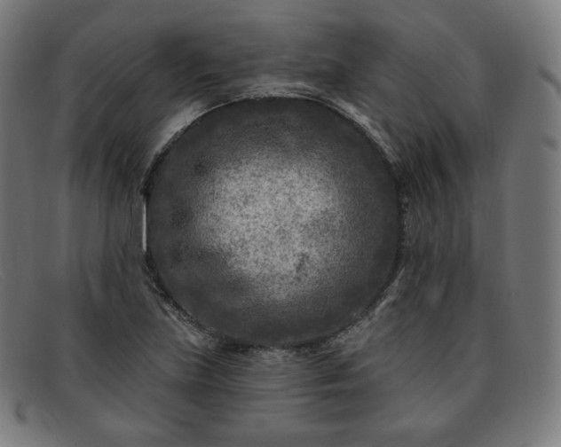 X0000091891219200709121433
