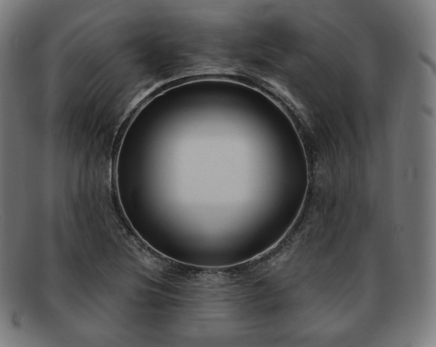 X0000091891220200709121433
