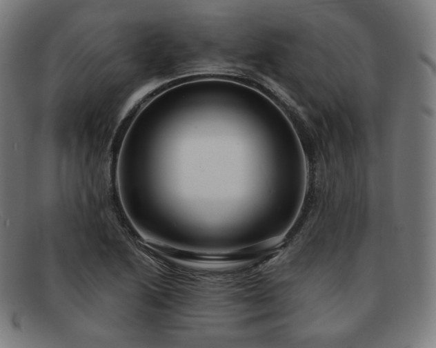 X0000091891222200709121433