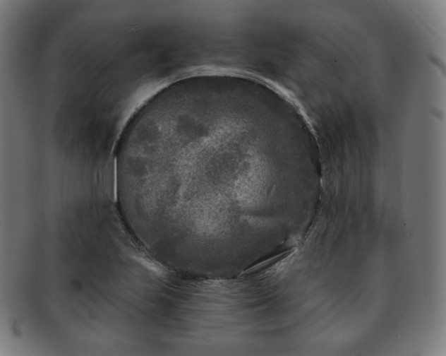 X0000091891223200709121433