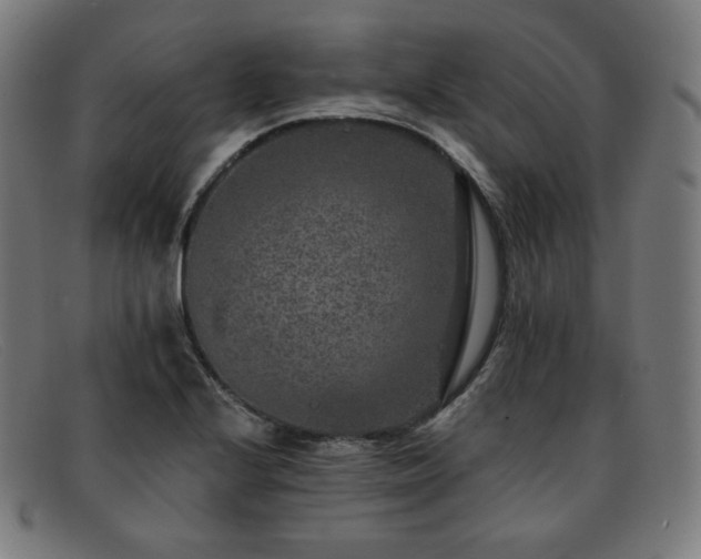 X0000091891224200709121433