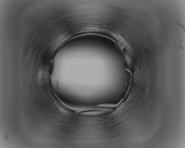 X0000091891225200709121433