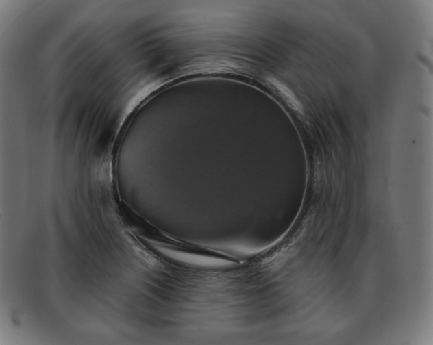 X0000091891226200709121433