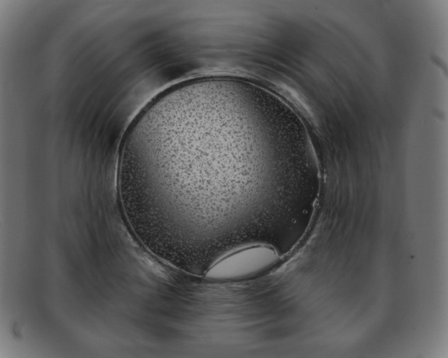 X0000091891228200709121433