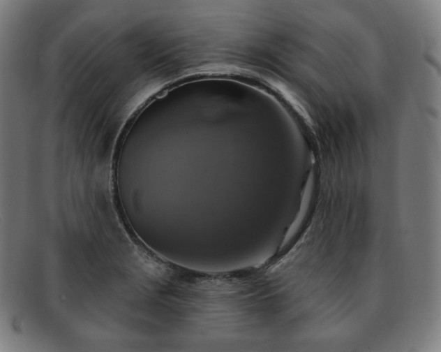 X0000091891229200709121433