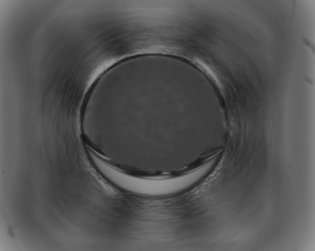 X0000091891230200709121433