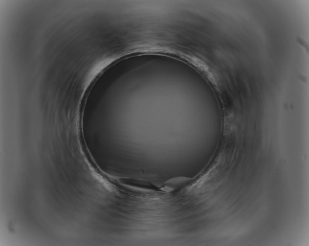 X0000091891231200709121433
