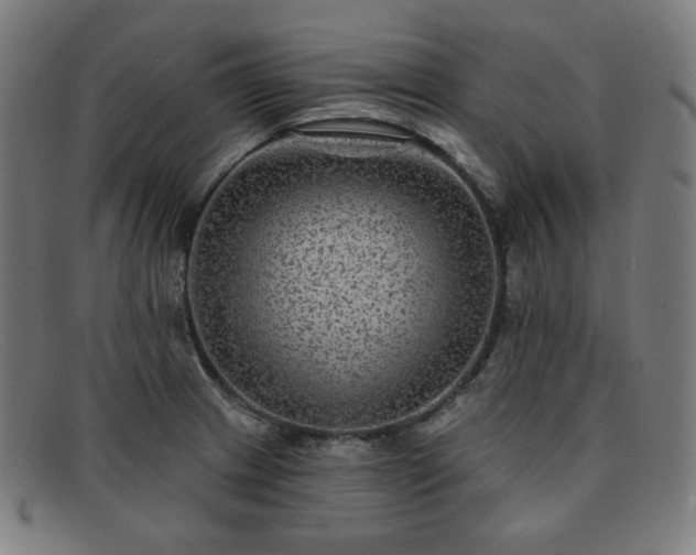 X0000091891233200709121433