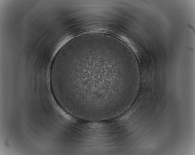 X0000091891235200709121433
