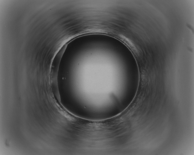 X0000091891236200709121433