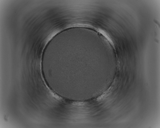 X0000091891237200709121433