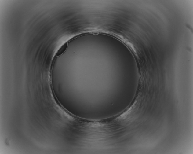 X0000091891239200709121433