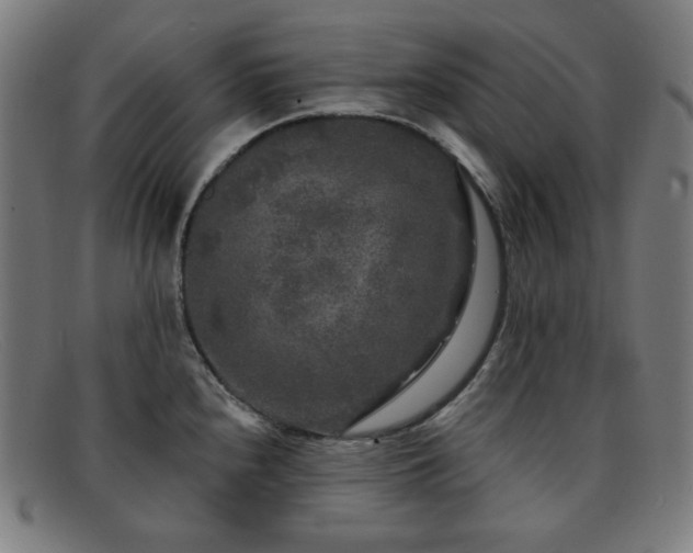 X0000091891240200709121433