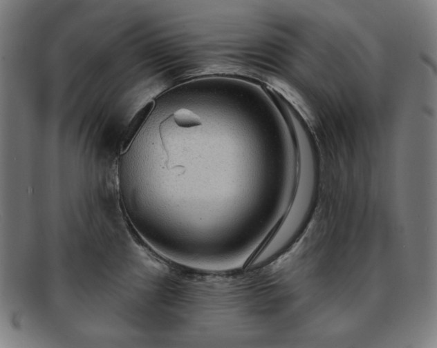 X0000091891241200709121433
