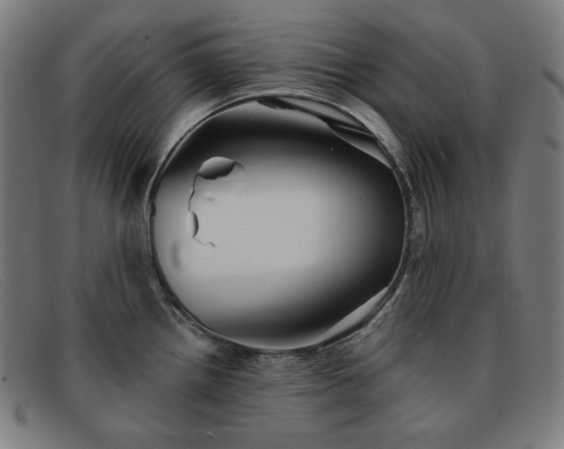 X0000091891242200709121433