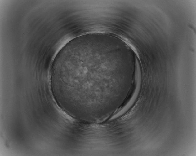 X0000091891243200709121433