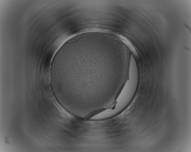 X0000091891244200709121433