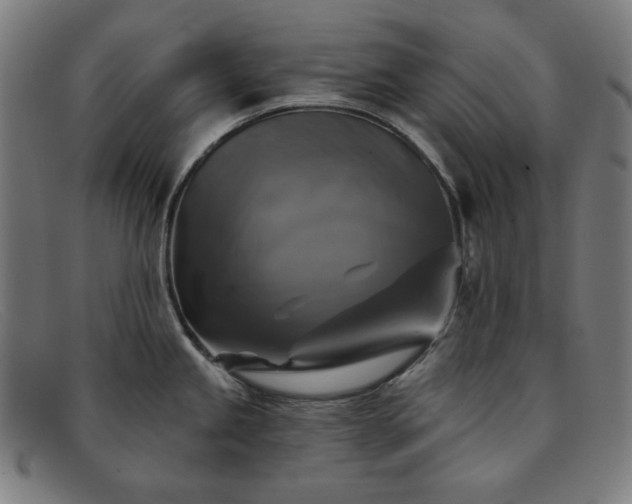 X0000091891245200709121433